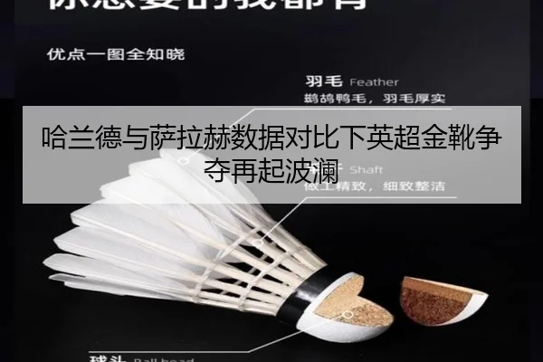 哈兰德与萨拉赫数据对比下英超金靴争夺再起波澜